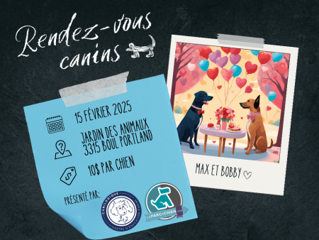 Frais d inscription aux rendez-vous canins - Spécial St-Valentin 🐾 Fashion