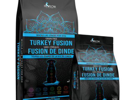 HARLOW BLEND 20 lbs - FUSION DINDE SANS CÉRÉALES PALEO LINE - FORMULE POUR CHIENS Online Sale