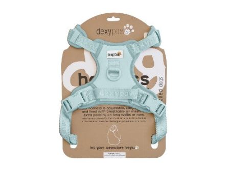 Dexypaws Harnais sans traction pour chien, Bleu ciel Supply