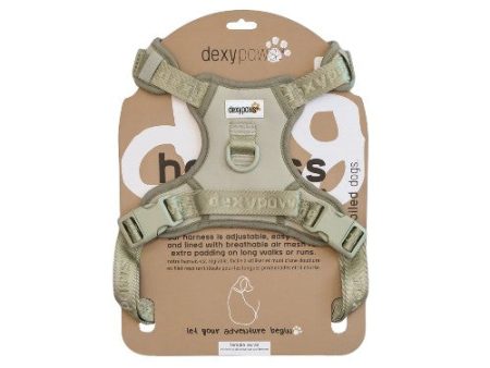 Dexypaws Harnais sans traction pour chien, Vert sauge For Cheap