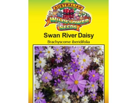 Swan River Daisy Seeds Fashion