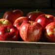 Royal Gala Apples Online Hot Sale