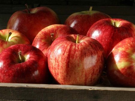 Royal Gala Apples Online Hot Sale