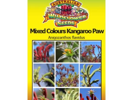 Mixed Colours Kangaroo Paw Seeds Discount