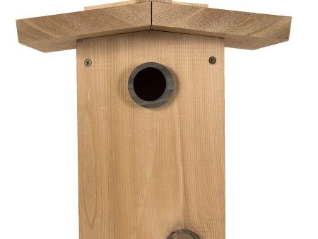 Cedar Songbird House Online Sale