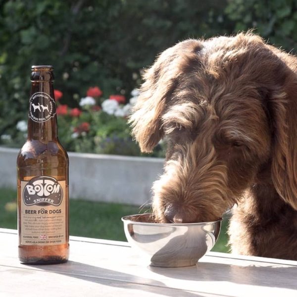 Woof&Brew Bottom Sniffer Dog Beer Gift Treat Discount