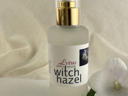 LOTUS OILS WITCH HAZEL 120ML Hot on Sale