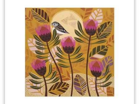 Spotted Pardalote Amongst the Isopogen Print Fashion