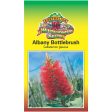 Albany Bottlebrush Seeds Supply