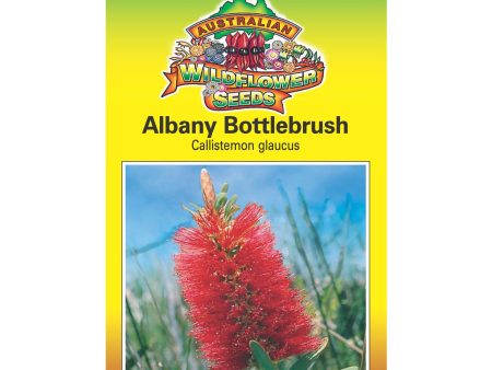 Albany Bottlebrush Seeds Supply