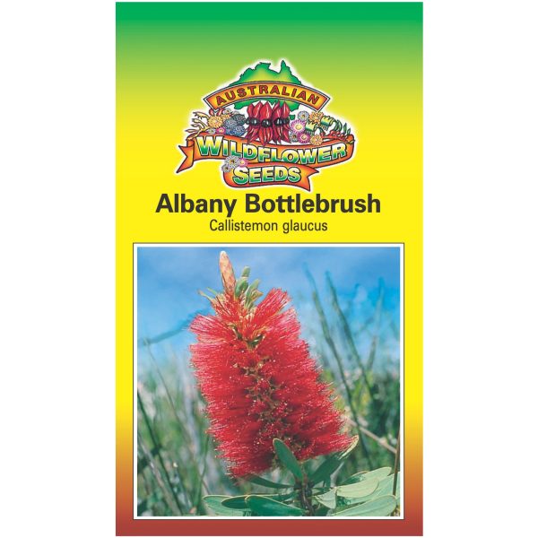 Albany Bottlebrush Seeds Supply