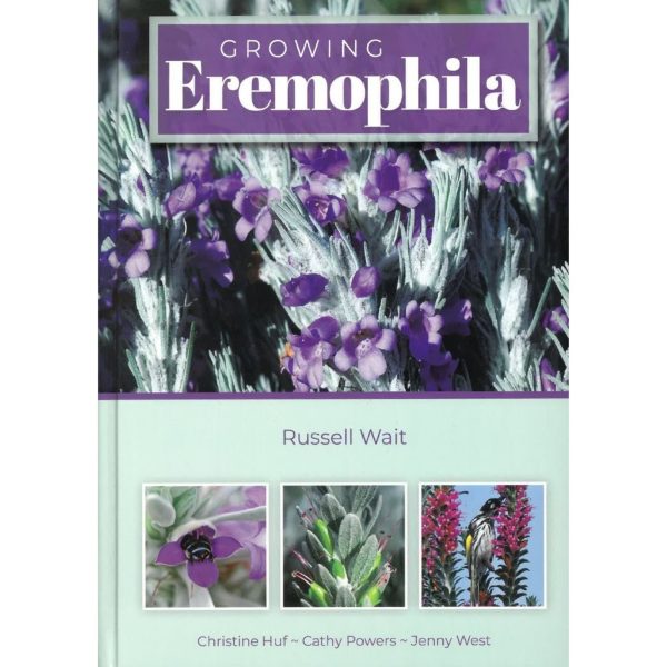 Growing Eremophila Online Sale