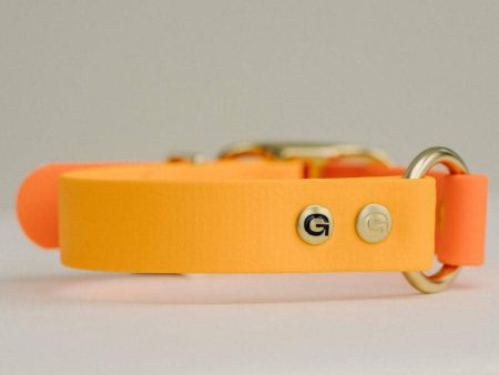 GULA DOG CARE - Classic Dog Collar - Bright Orange & Orange(25mm width) Online Sale