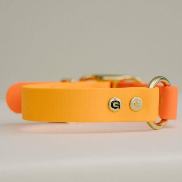 GULA DOG CARE - Classic Dog Collar - Bright Orange & Orange(25mm width) Online Sale