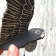 Male Red-tailed Black Cockatoo Mobile Fashion