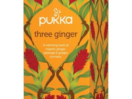 PUKKA THREE GINGER TEA 20 BAGS Online Hot Sale