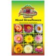 Mixed Strawflowers Seeds For Discount