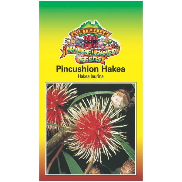 Pin-cushion Hakea Seeds Discount