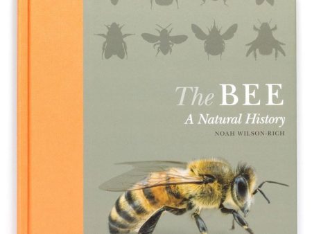 The Bee a Natural History Online Hot Sale