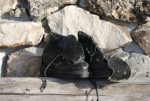 Vintage Youth Leather Ski Boots 9 1 2 Inches Inside Outside Lace Online