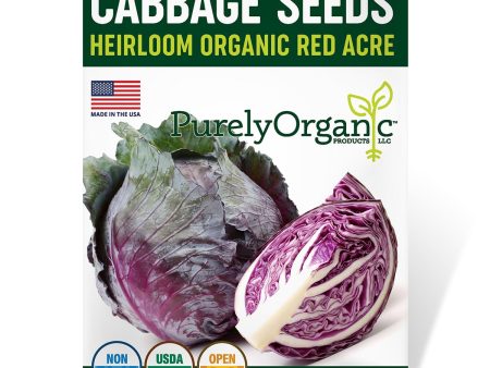 Purely Organic Red Acre Cabbage Seeds - USDA Organic, Non-GMO, Open Pollinated, Heirloom, USA Origin, Vegetable Seeds Online now