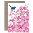 Blue Wren on Geraldton Wax Card Online now