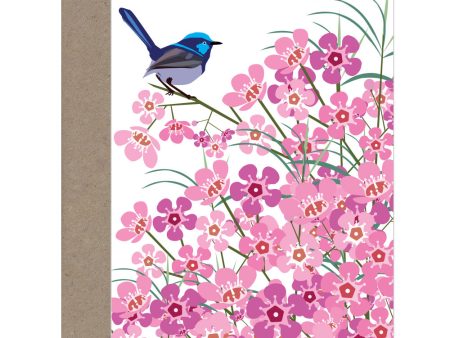 Blue Wren on Geraldton Wax Card Online now