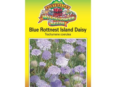 Blue Rottnest Island Daisy Seeds Sale