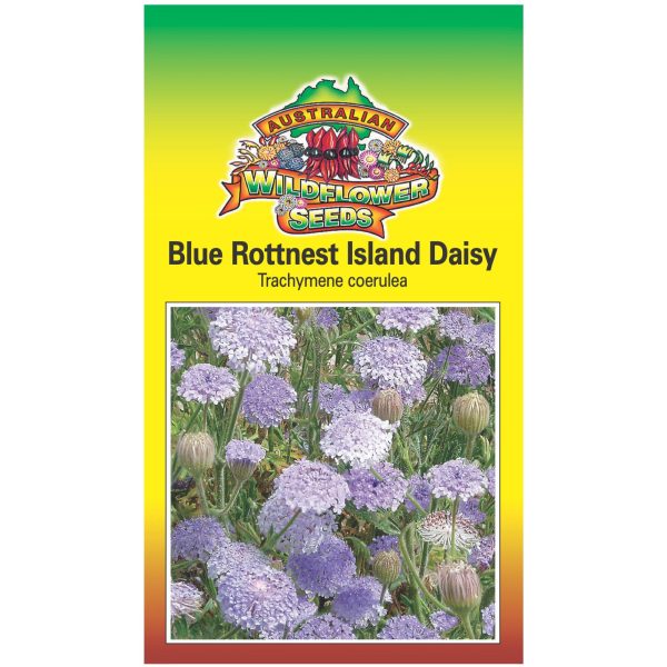 Blue Rottnest Island Daisy Seeds Sale