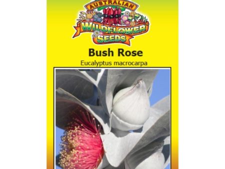 Bush Rose Seeds Online now