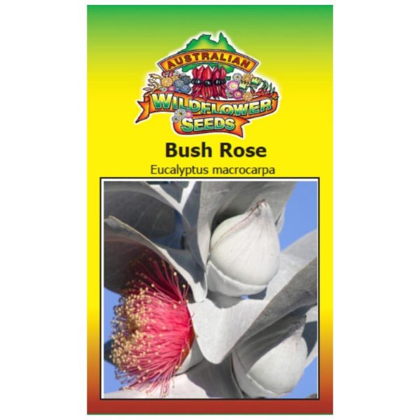 Bush Rose Seeds Online now