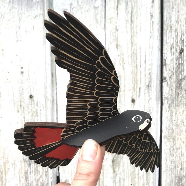 Male Red-tailed Black Cockatoo Mobile Fashion