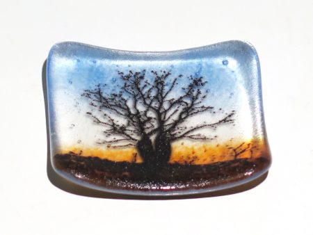 Boab Tree Glass Plate For Sale