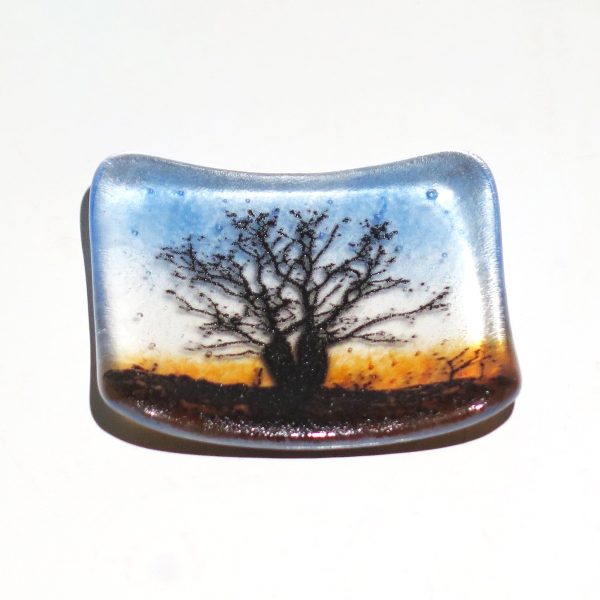 Boab Tree Glass Plate For Sale