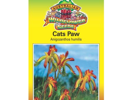 Cats Paw Seeds For Sale