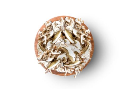 HEIRLOOM SHIITAKE MUSHROOM SLICES 100G Discount