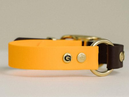 GULA DOG CARE - GULA Dog Collar - Black - 25mm Dog Collar - Orange & Brown - 25mm Fashion