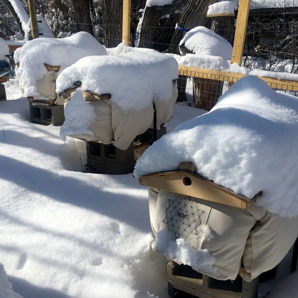 Cozy Cover Hive Insulation Wrap Online