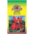 Sturt Pea Seeds on Sale