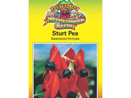 Sturt Pea Seeds on Sale