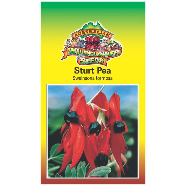 Sturt Pea Seeds on Sale