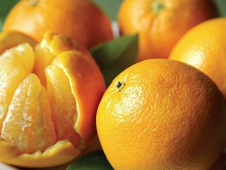 Valencia Oranges For Cheap