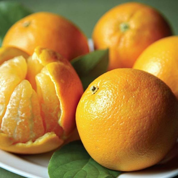 Valencia Oranges For Cheap