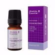 ABSOLUTE ESSENTIAL ORGANIC FRANKINCENSE OIL 5ML For Cheap