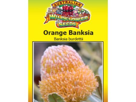 Orange Banksia Seeds Online