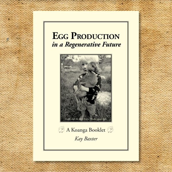 KOANGA PAPERBACK BOOK EGG PRODUCTION Cheap