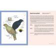 100 Australian Birds on Sale