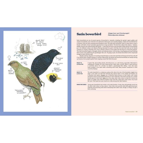 100 Australian Birds on Sale