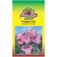 Fringed Lily Seeds Cheap