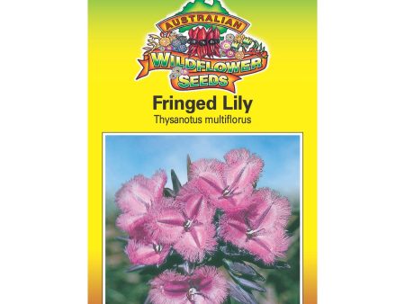 Fringed Lily Seeds Cheap